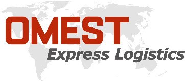 Logo 1